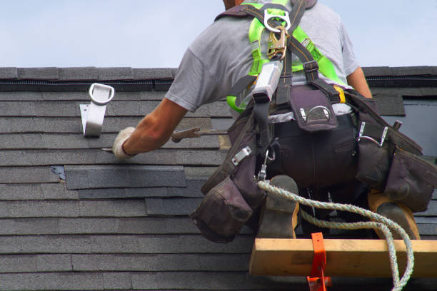 Roof Gutter Cleaning in Durant, IA